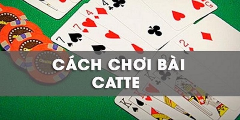 Nhất định phải tìm hiểu kỹ luật chơi game bài Catte